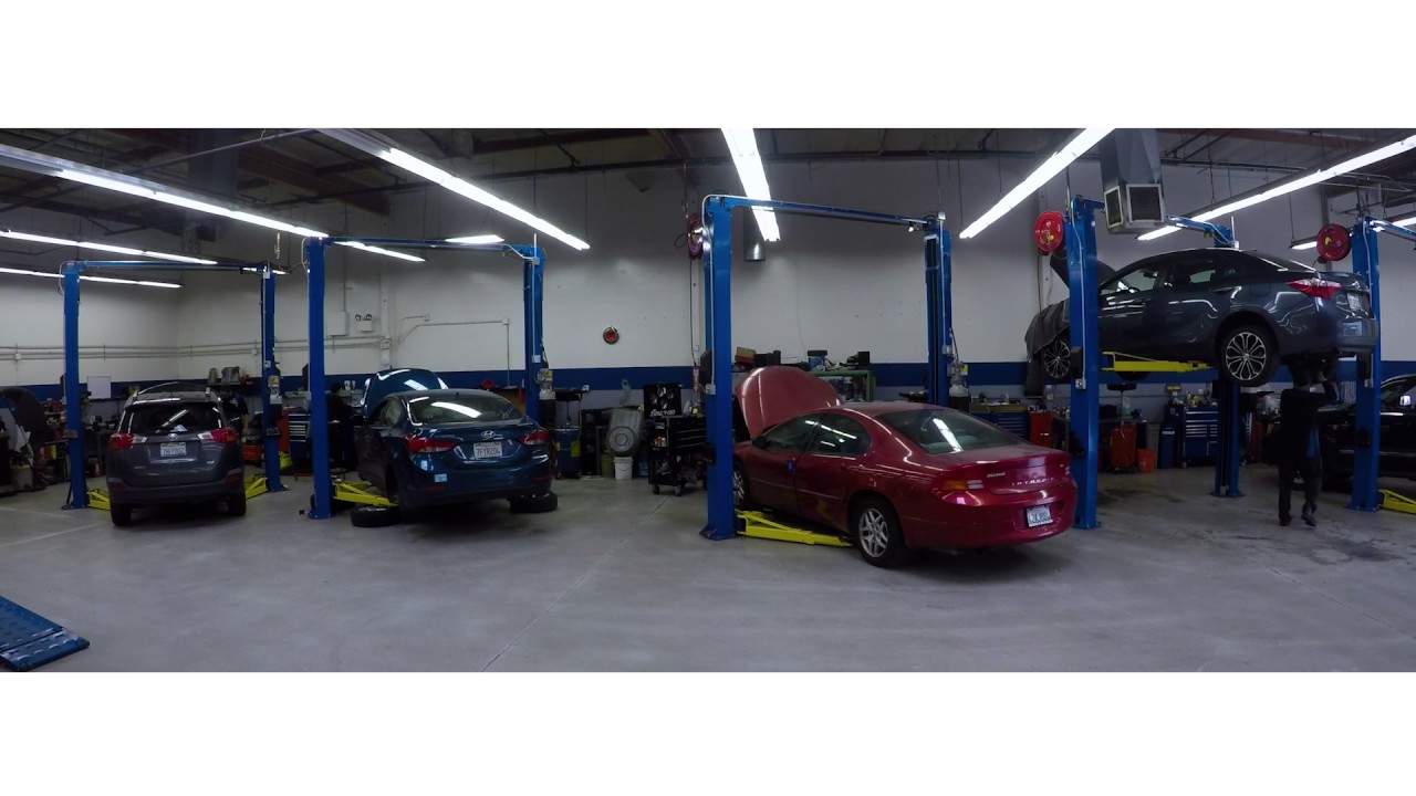 Shop Timelapse