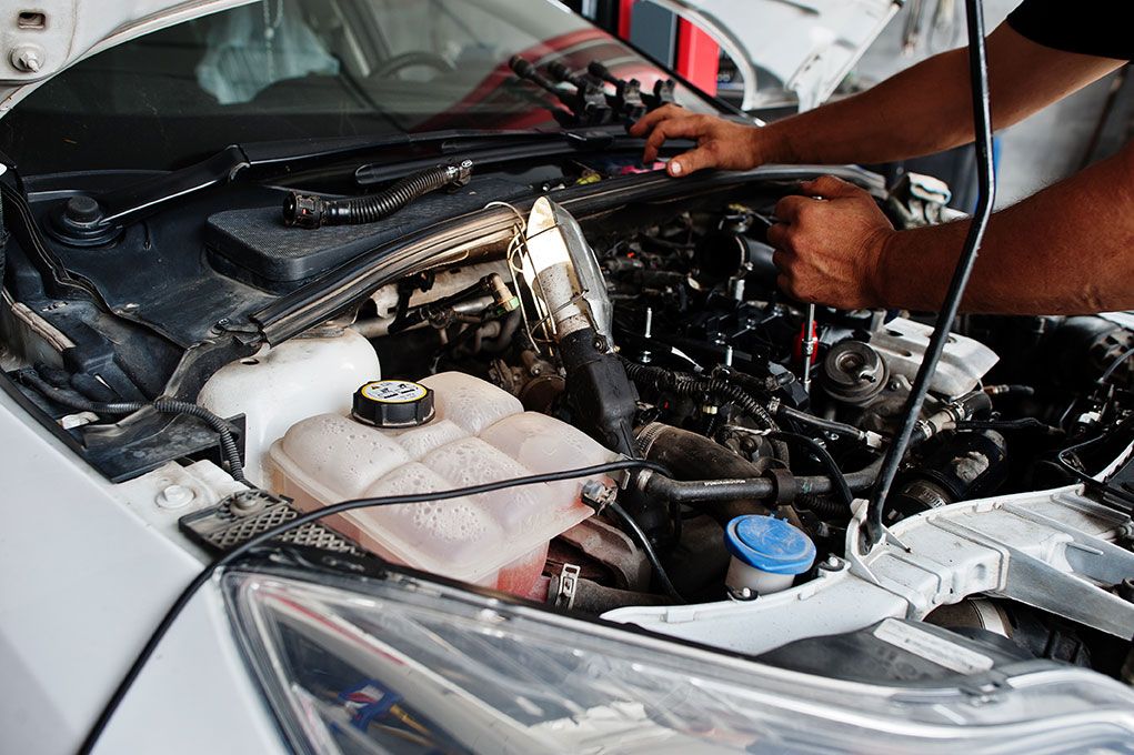 <p class="rteBlock">Timely &amp; Efficient Maintenance</p>